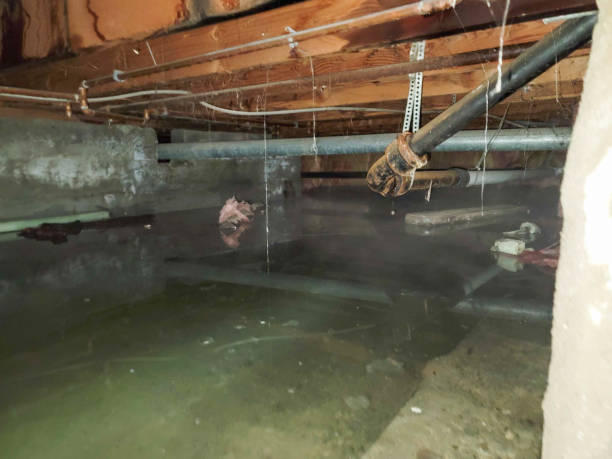 Best 24-hour water damage restoration  in Terville, WA